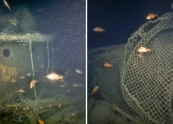 Submersível que encontrou o Titanic descobre navio de lendário explorador britânico