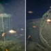 Submersível que encontrou o Titanic descobre navio de lendário explorador britânico