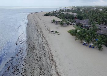 Barra Grande: conheça a praia do Piauí que virou um dos destinos mais desejados do Nordeste
