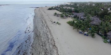 Barra Grande: conheça a praia do Piauí que virou um dos destinos mais desejados do Nordeste