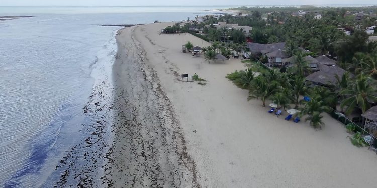 Barra Grande: conheça a praia do Piauí que virou um dos destinos mais desejados do Nordeste