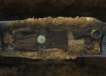 Garota de Egtved: cientistas encontram caixão da Idade do Bronze com cabelo, dentes, unhas e massa encefálica