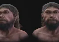 Cientistas fazem reconstrução e revelam como era  o rosto do homo sapiens mais antigo