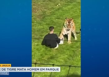 Homem morre após entrar em jaula de tigre