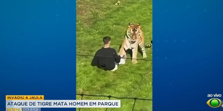 Homem morre após entrar em jaula de tigre